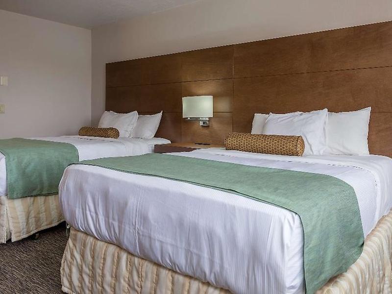 8DF2EEAF1F65B115DA34E8A982EEB15C