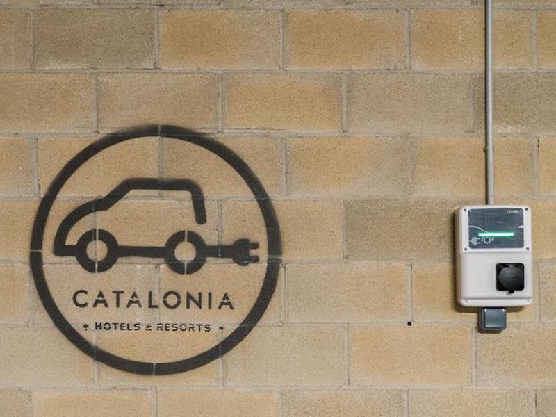 ADB7A1FD437DB5A505012555B7996331