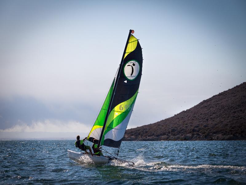 6EC313B4FAE9F8A416CEEAE50D8F6A10