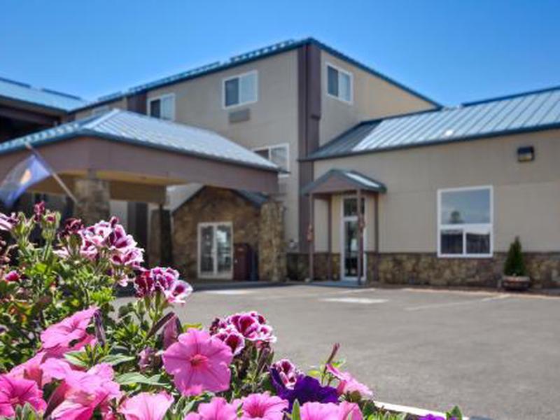 C18A0C5D12D80A104CD8DA20FBA808D6