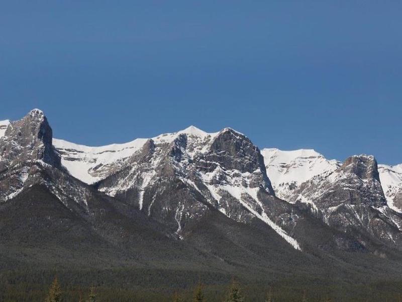 95B5C46FE93071466F0EAD08BCA6455A