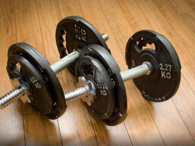 8F81796244D27E520D41CF49406C7B1F