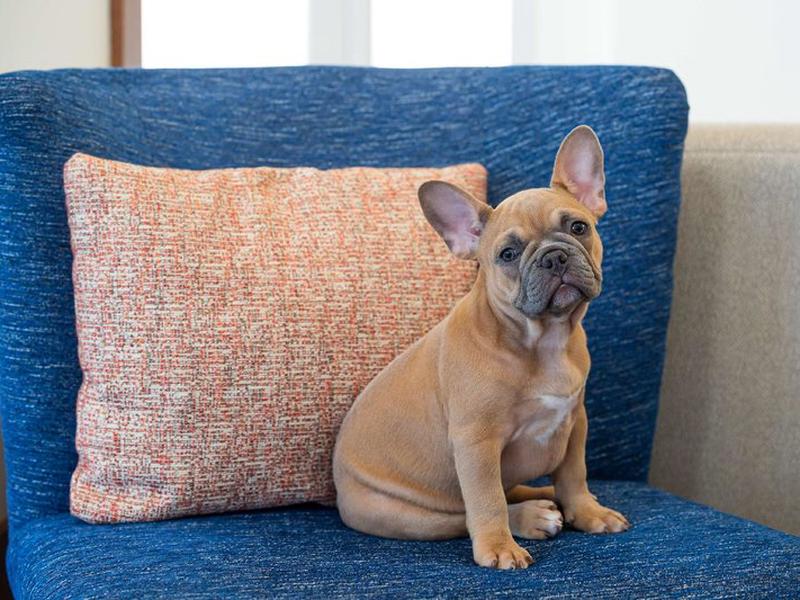 10621ED7269EEAABE59E871FEAF64F0B