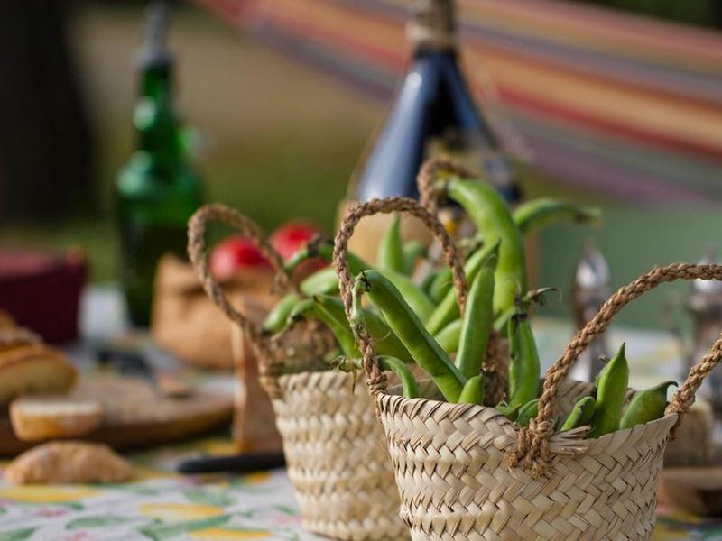 45B9F21E914D0741C42A598A8454FC00