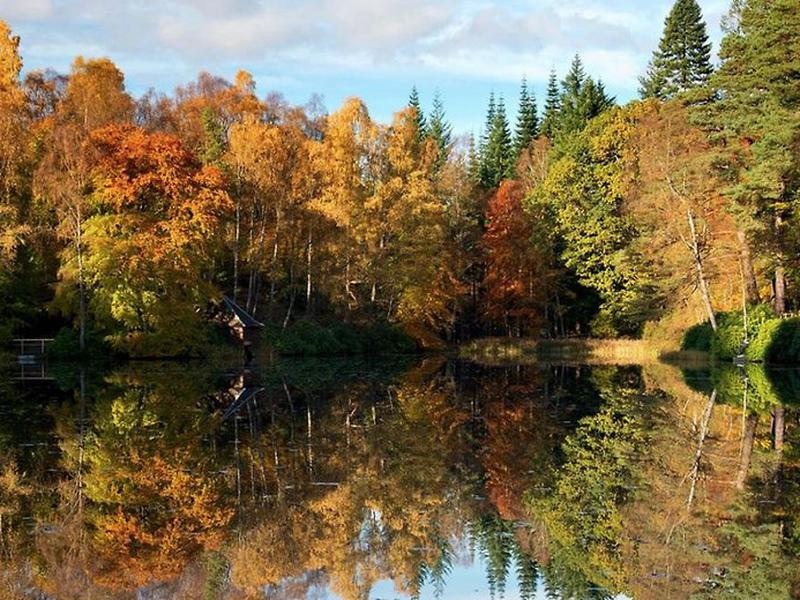 0902B018843BA18A08CF62B7BCB031FE