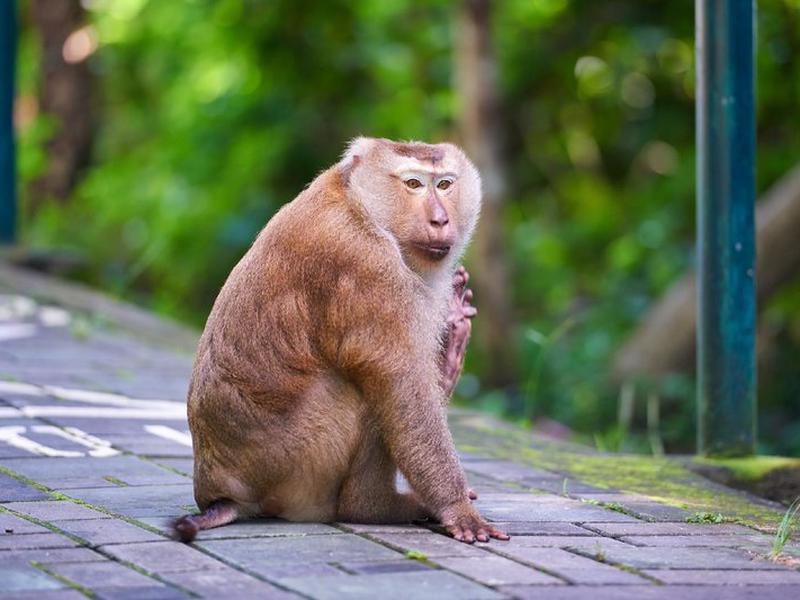 A10CC08F89388CADA34F157B9BAD8C66