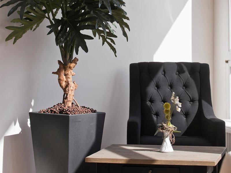 D657B30DEE83E2682A44166EA521AC0C