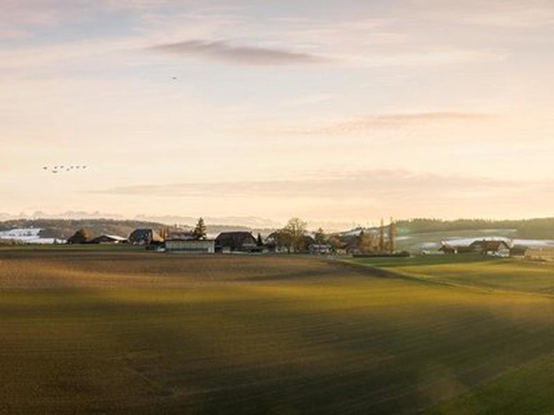 4D39E022A80518BFF1A9A626CD7B7E77