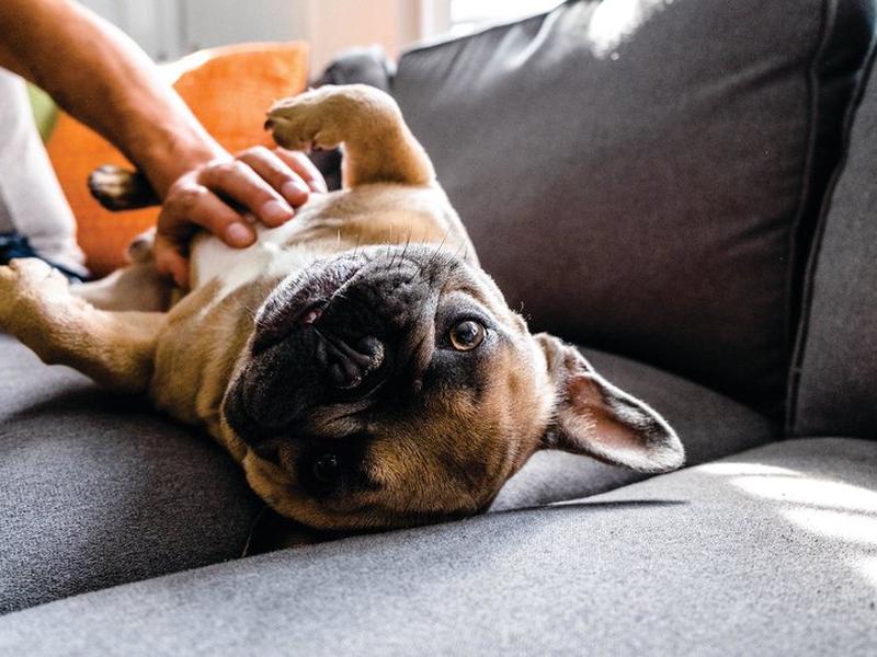 DEBEF4396A540C27A7CBB0D499FB3FA8