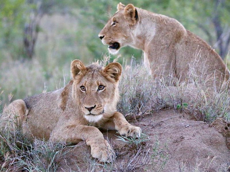 0A294D7C65B0A9942F615A09F8C4E096