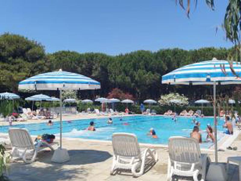 8D636C3AF0D7E5129CADE6969F93A4CE