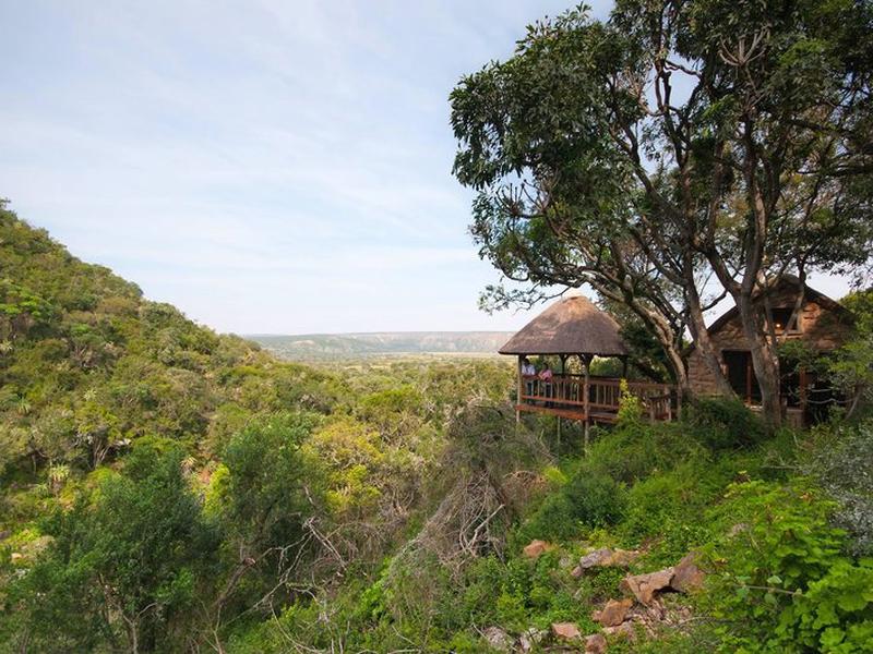 341F7FC35D815707C57CD4A864DBF75F