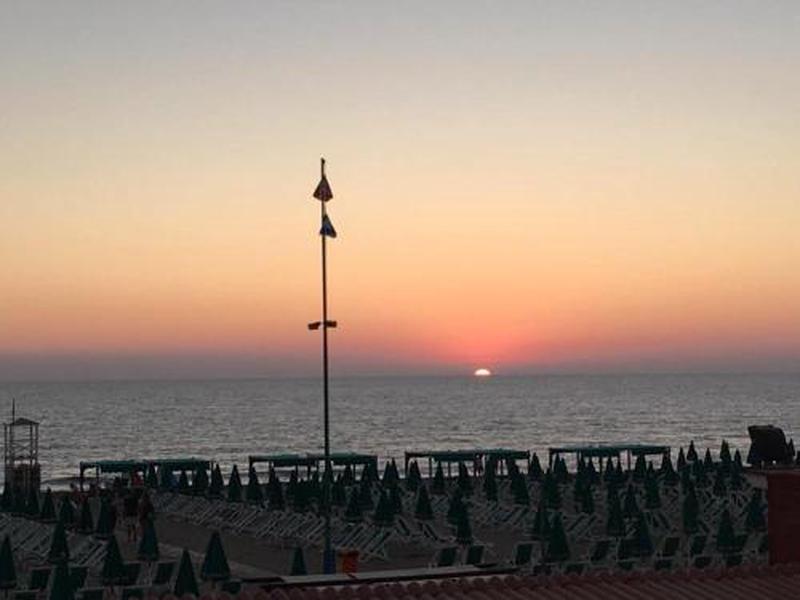 C1552E9BF2FAB8136FAD0EEF568F9D56