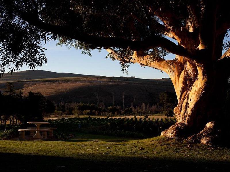 3B4D123F87012DF5236FA82911263413