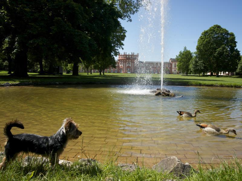 1D7B3D4A991605D65050C24E24B26759