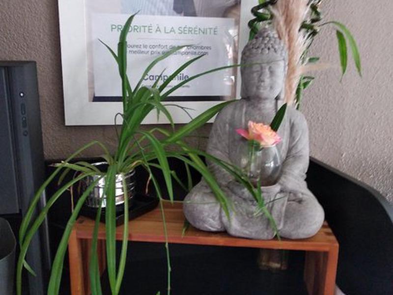 874945DF899CA093535CD8CA17C335CA