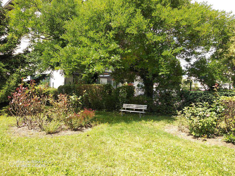 E324D62349A788D8166812ADEA6821B5