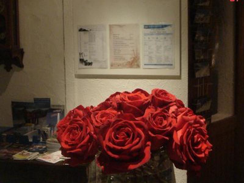 E8E5529D147A6AA81505944848C199D0