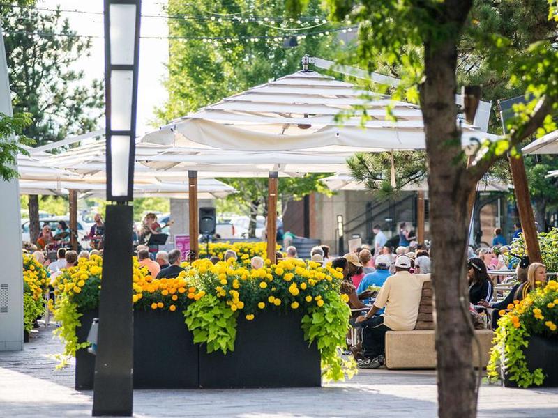 3BEC3D975DAC942FF2A850FDC1362161