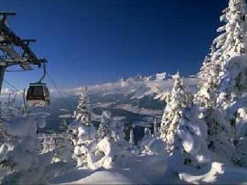 AA6330022C8ED49B4DB2FF969A82C36C