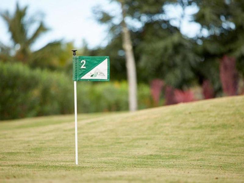 19EEA2F7E8D4A7AB1C1720D11C58F6E3