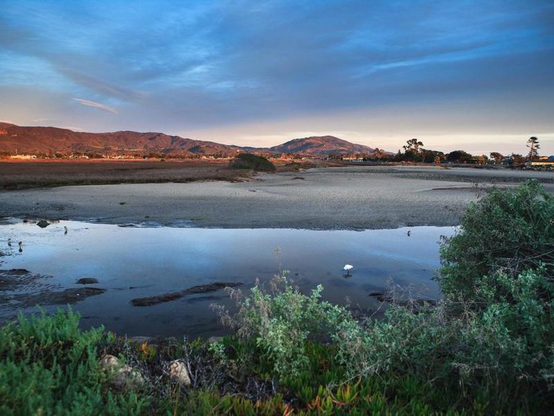 95ECB155C363AD01C7A70C9EE59CACF6