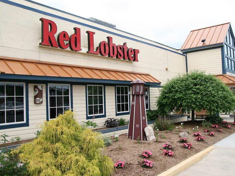 400381294DFB42F3D92B05154667CF9F