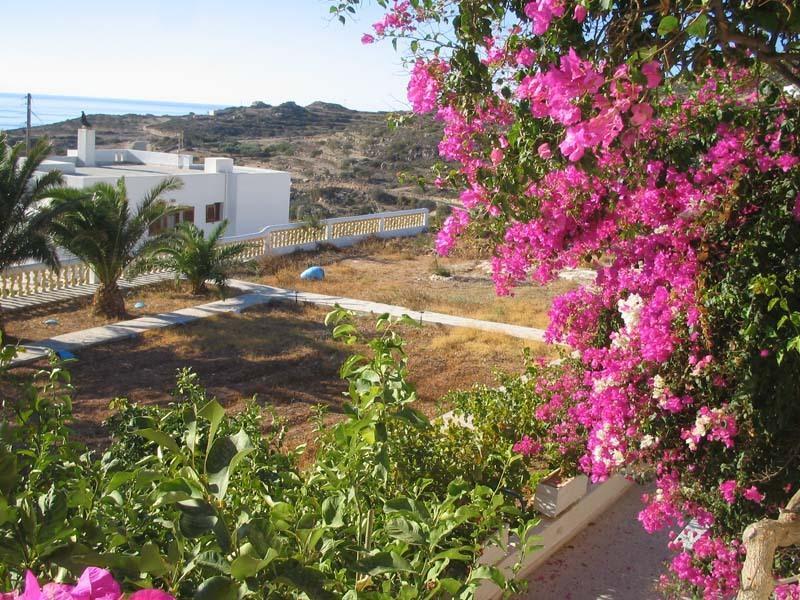 19977CEFFF264CF17F3A543ADDB8B455