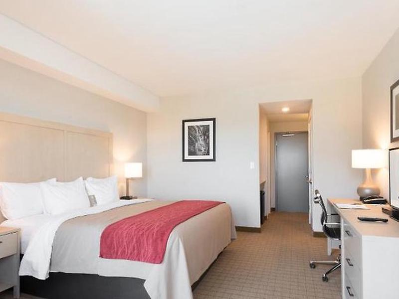 E10E9D26D972BAFD7D5601A4F0C595E9