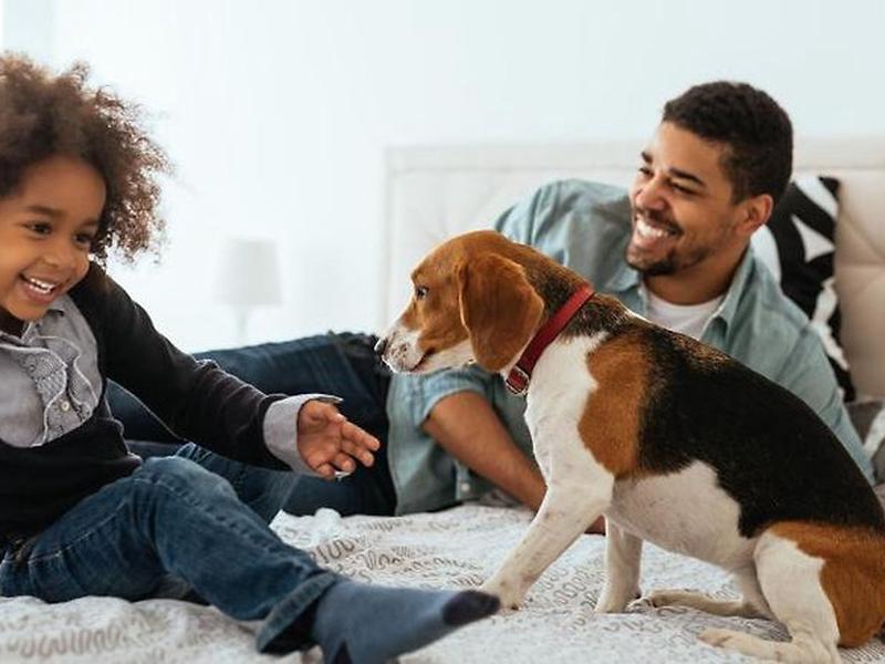 DE6BD472A27A99D0D617435D9276C9DC