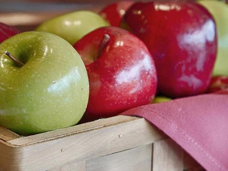 F9420FA43D3AFD150D12DE123043FDB2