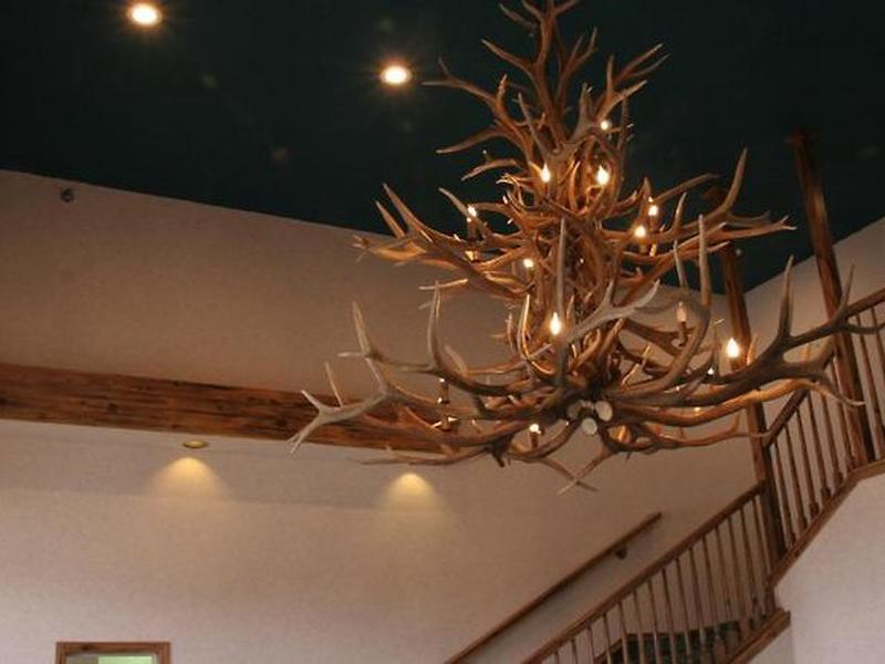 1EF8AEC7E8028FA88395BF70EE958131