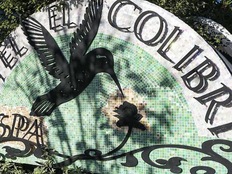 8DC88E3CF9F646175BF7B59B7AB362D1