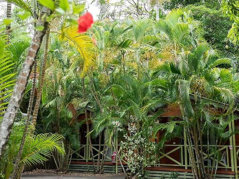 C35A157F24CE96C03678886349143F3E