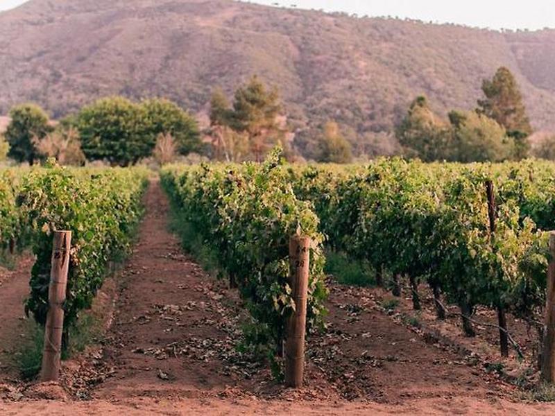 CAC00E0B34E4A30795B894E4E308033D