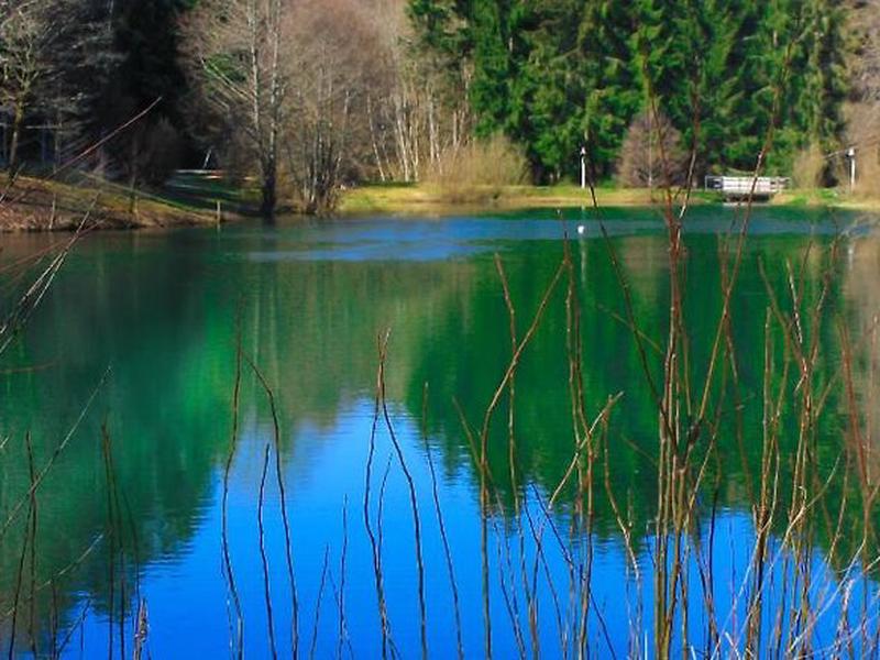 7E338F6BBE85311EE66182692E837582