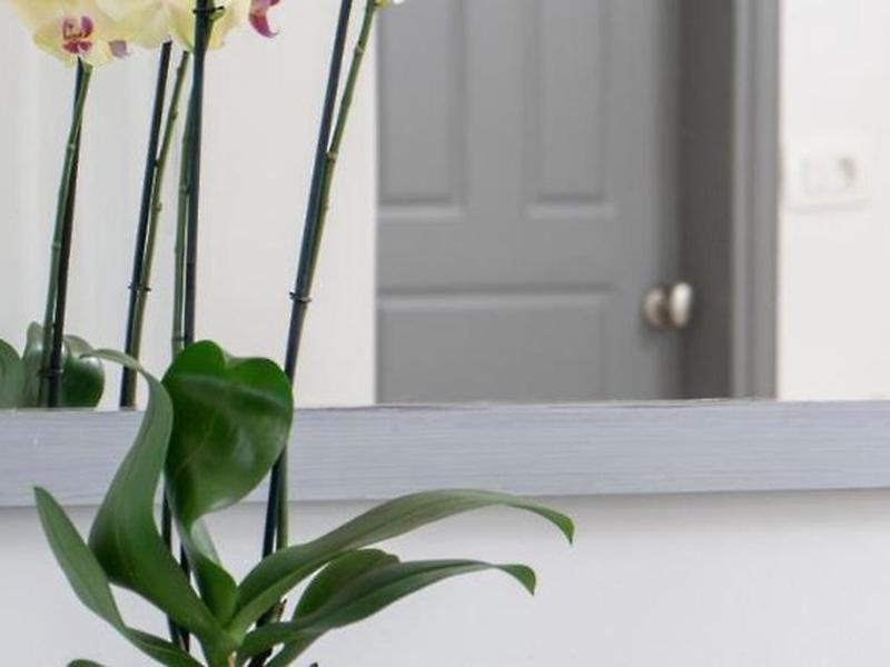 531B48E5EFE354A9783D5BB627FD10CE