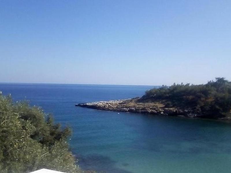 F00AC88183B1BF9DF63A0DC3F2E5C5E2