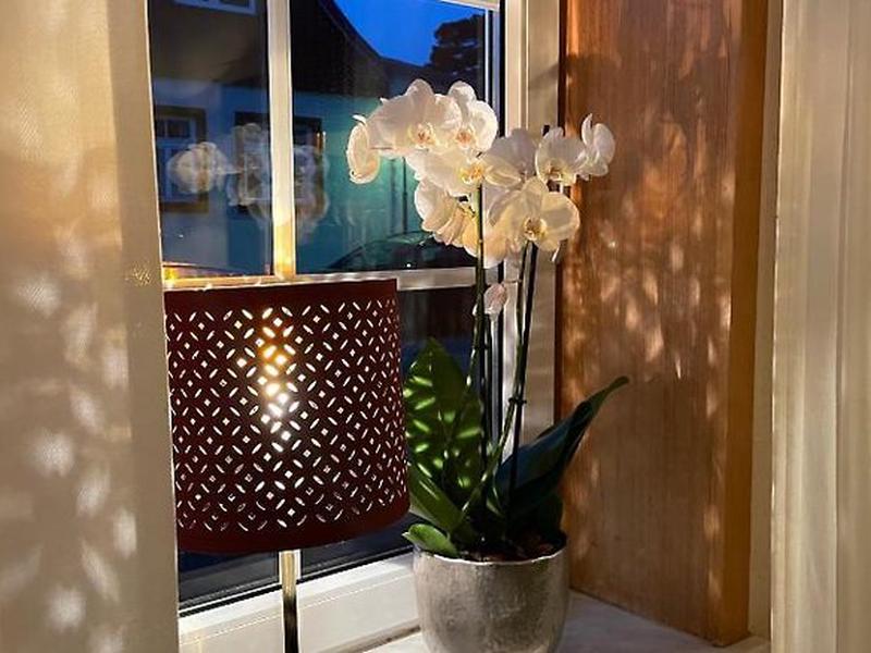 725B46136A2D2FB8A24D7E4D940E1AD2