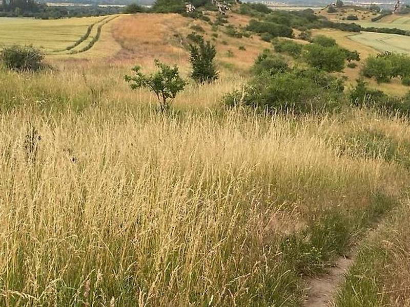 D1F8E877F122758D78C59200F3F911BB