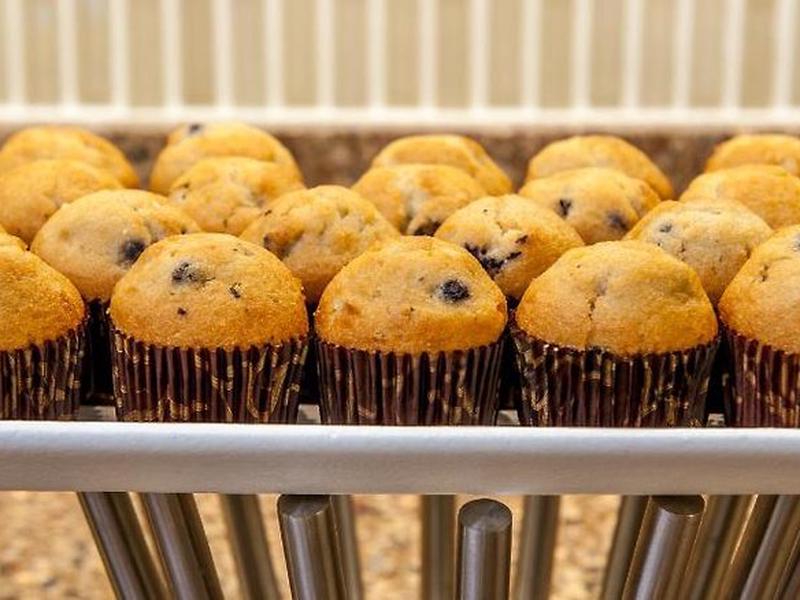 F68899BF802D77FE53DE673172572B8D