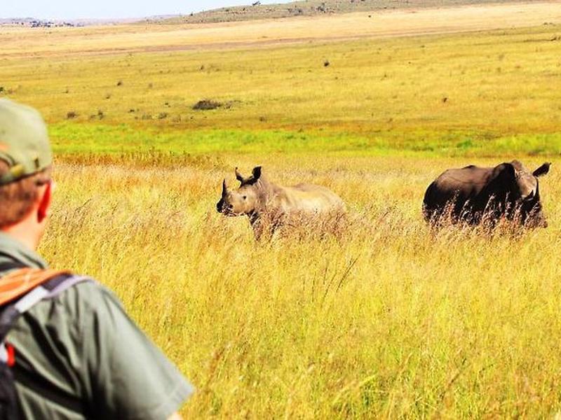 B1569343B370828AD7B24B2DE44861A7