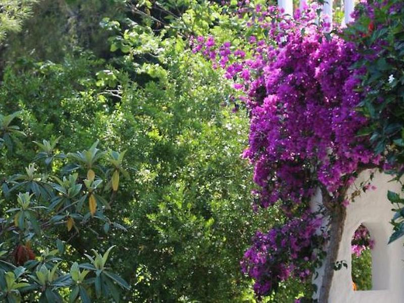 06E1AC57DA441FB199A0F8A7E96F5784