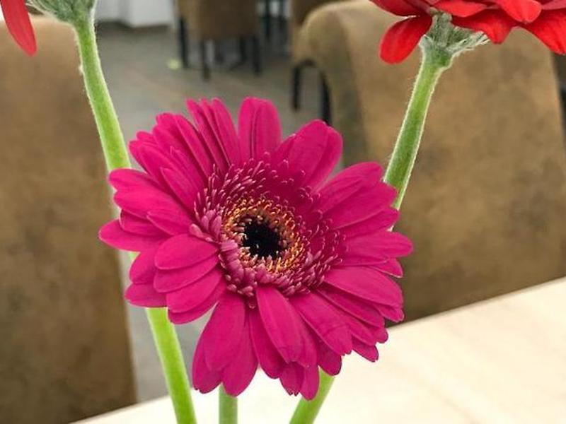 4C02DF1798A65C9ACEF62679FBC10903