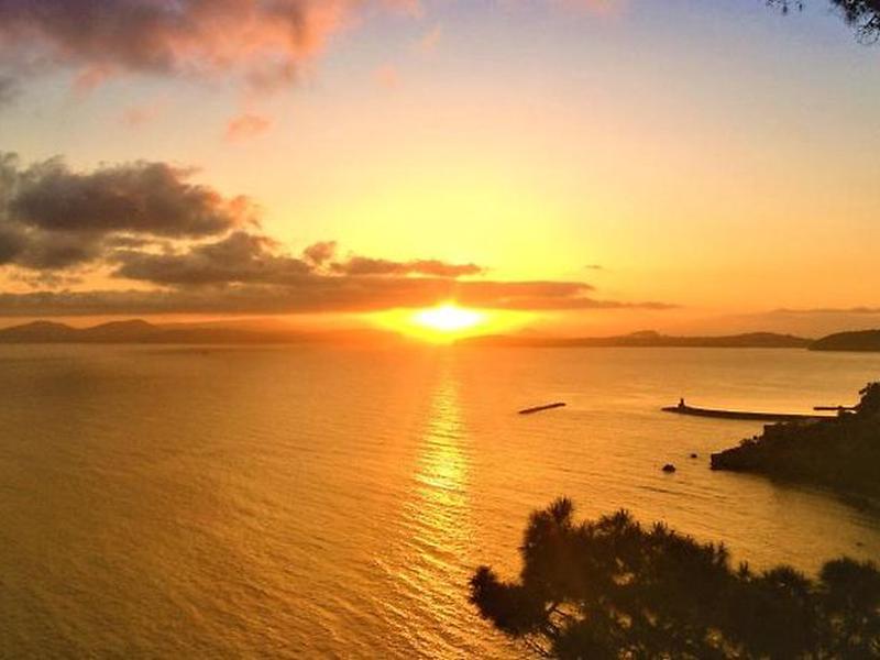 C1FA5A2A4CD049E460802459D6F32588