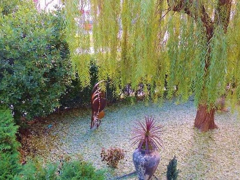 8A8CF8CD7B48B8E7692A1BA898B5AF0E