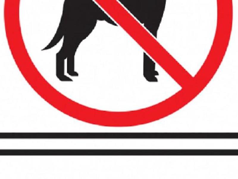 9A97332961ADDA9B6131F14BD7E81850