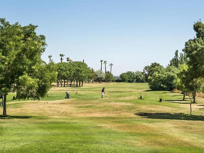 496DFB4F81C5BBD0C5CAD9E3EEC388CA