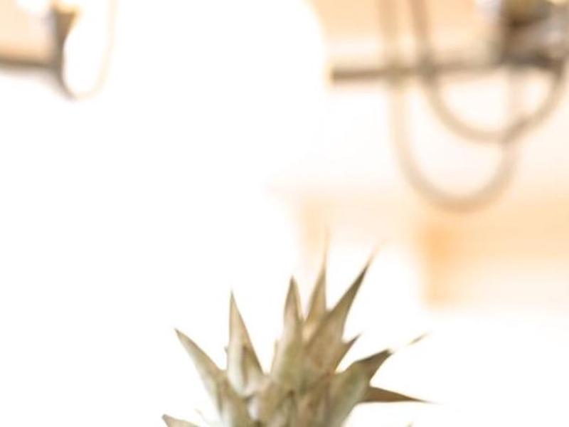 DF1B6E7D96555EB477EC987946FD53B5