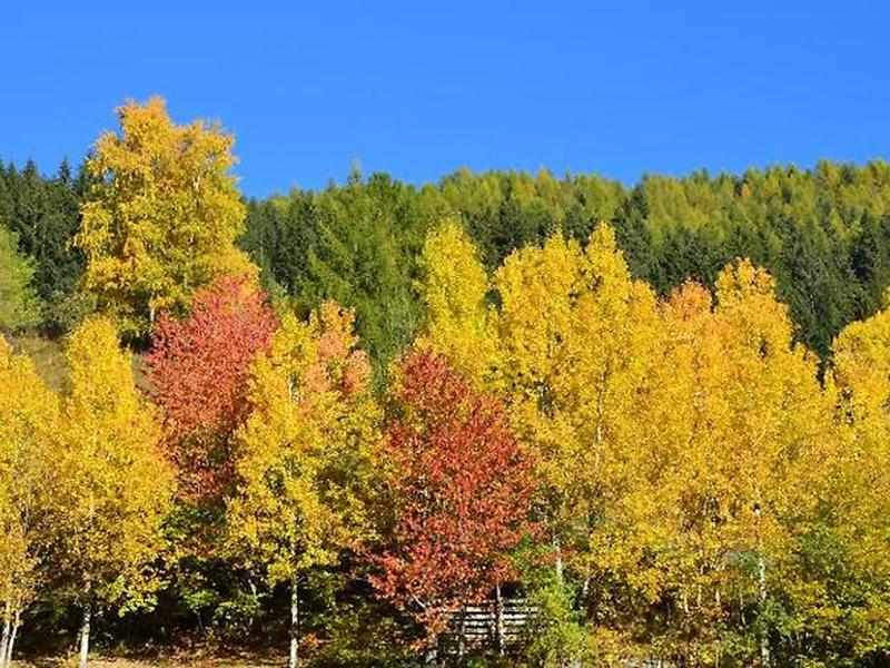 429475A0EA648DF06CEE8412EEDEA069